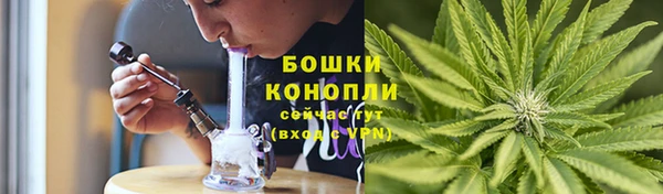 мяу мяу мука Иннополис