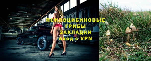 герыч Каменка