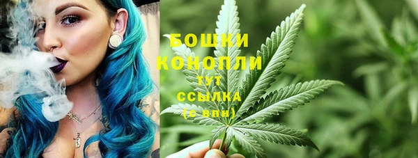 мяу мяу мука Иннополис
