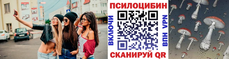 MEGA ССЫЛКА  Плавск  Псилоцибиновые грибы Cubensis 